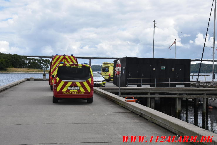 Vejle Brandvæsens dykker var på havnen. Lystbådehavnen i Vejle. 01/07-2024. Kl. 14:55.