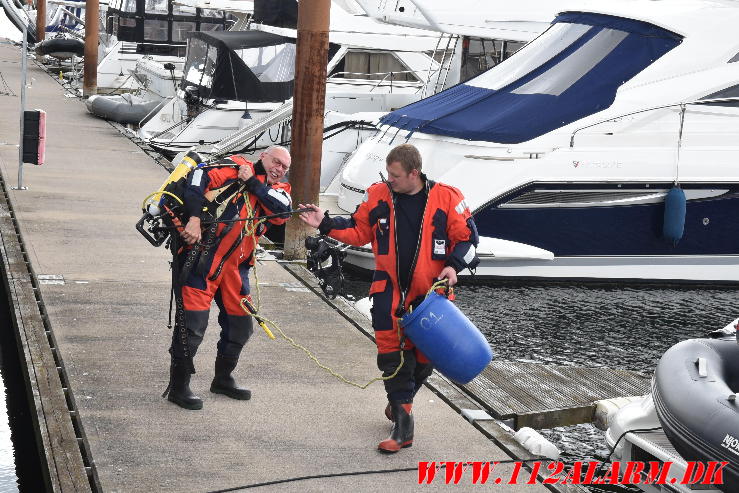 Vejle Brandvæsens dykker var på havnen. Lystbådehavnen i Vejle. 01/07-2024. Kl. 14:55.