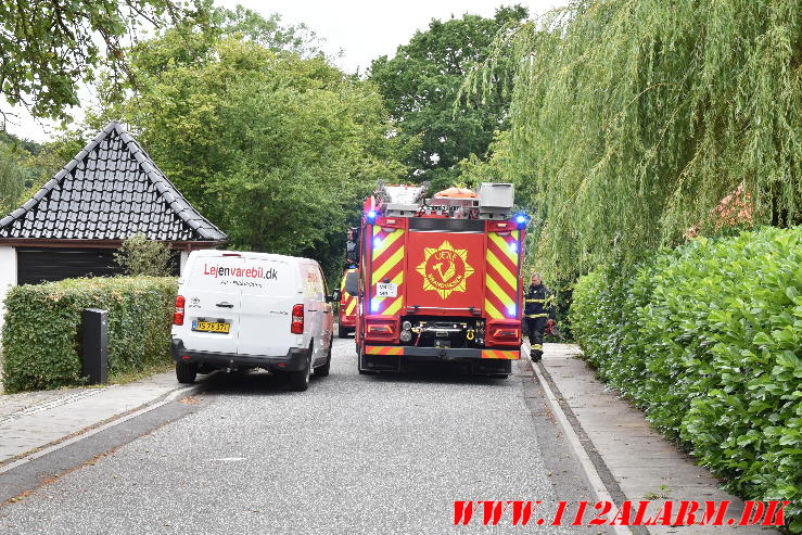 Endnu en ukrudtsbrænder. Svinget i Vejle. 02/07-2024. KL. 14:56.