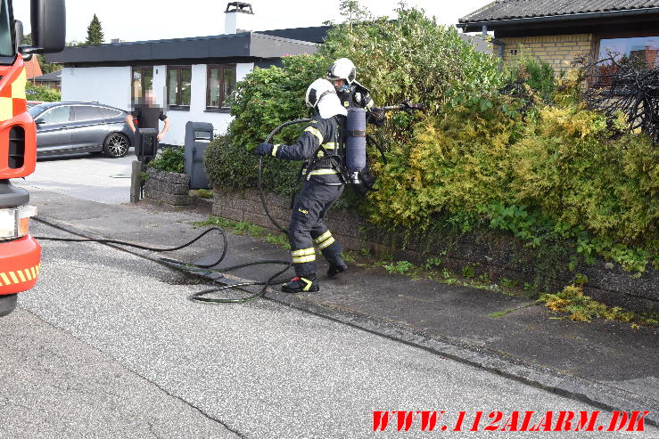 Endnu en gang en ukrudtsbrænder. Mysundevej i Vejle. 01/08-2024. Kl. 18:06.