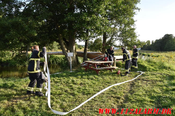 Ild i et træ. Skibetvej i Skibet. 08/08-2024. KL. 18:50.