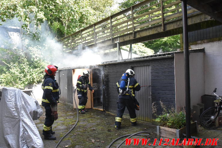 Endnu en gang ukrudtsbrænder. Vesterbrogade i Vejle. 02/09-2024. Kl. 13:25.