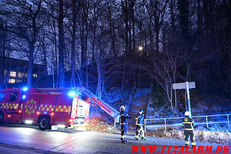 En person skulle hjælpes ned fra skoven. Horsensvej 35 i Vejle. 12/12-2024. KL. 16:17.